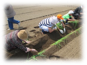juntos-farm.jpg